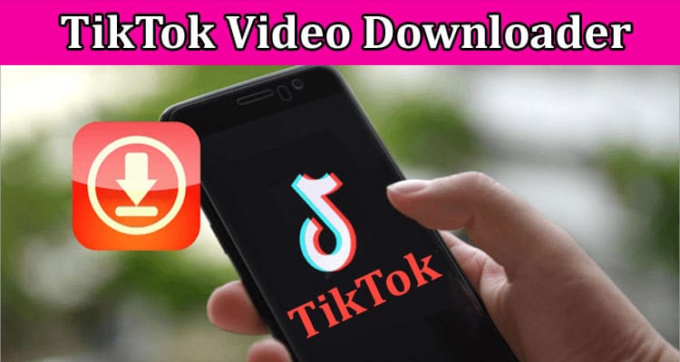 TikTok Video Downloader Tool For TikTok Videos without a Watermark
