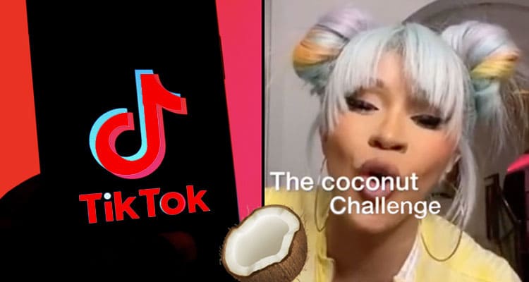 Latest News Coconut Challenge Tiktok