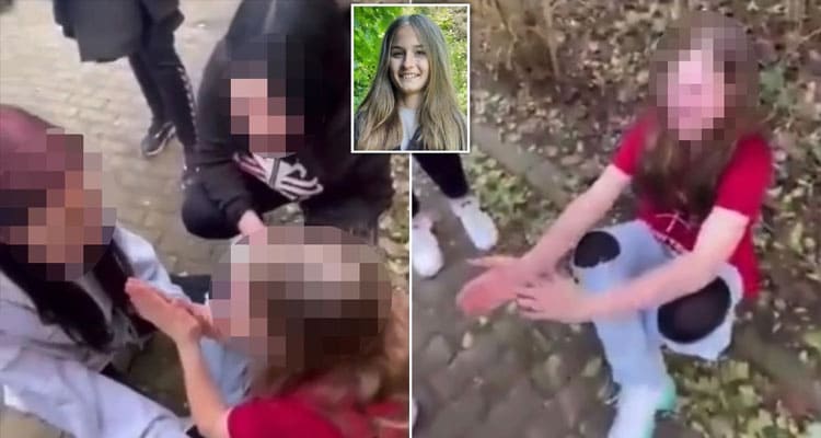 Latest news German Bullying Video