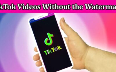 Complete Information About Get Your Favorite TikTok Videos Without the Watermark With PPPTik