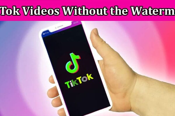 Complete Information About Get Your Favorite TikTok Videos Without the Watermark With PPPTik